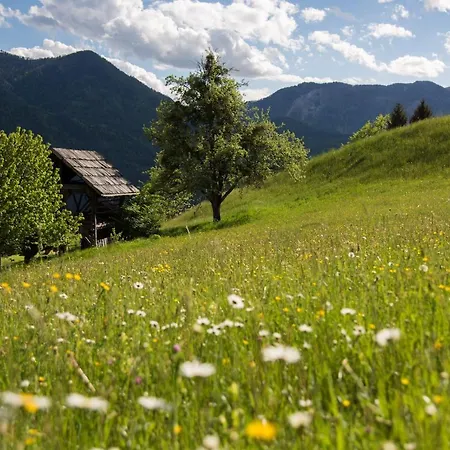 Hotel Naturhotel Landhof