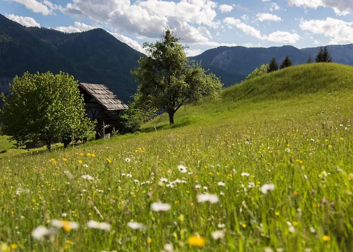 Hotel Naturhotel Landhof