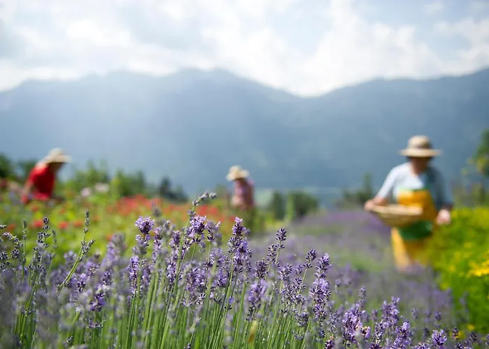 Hotel Naturhotel Landhof Irschen